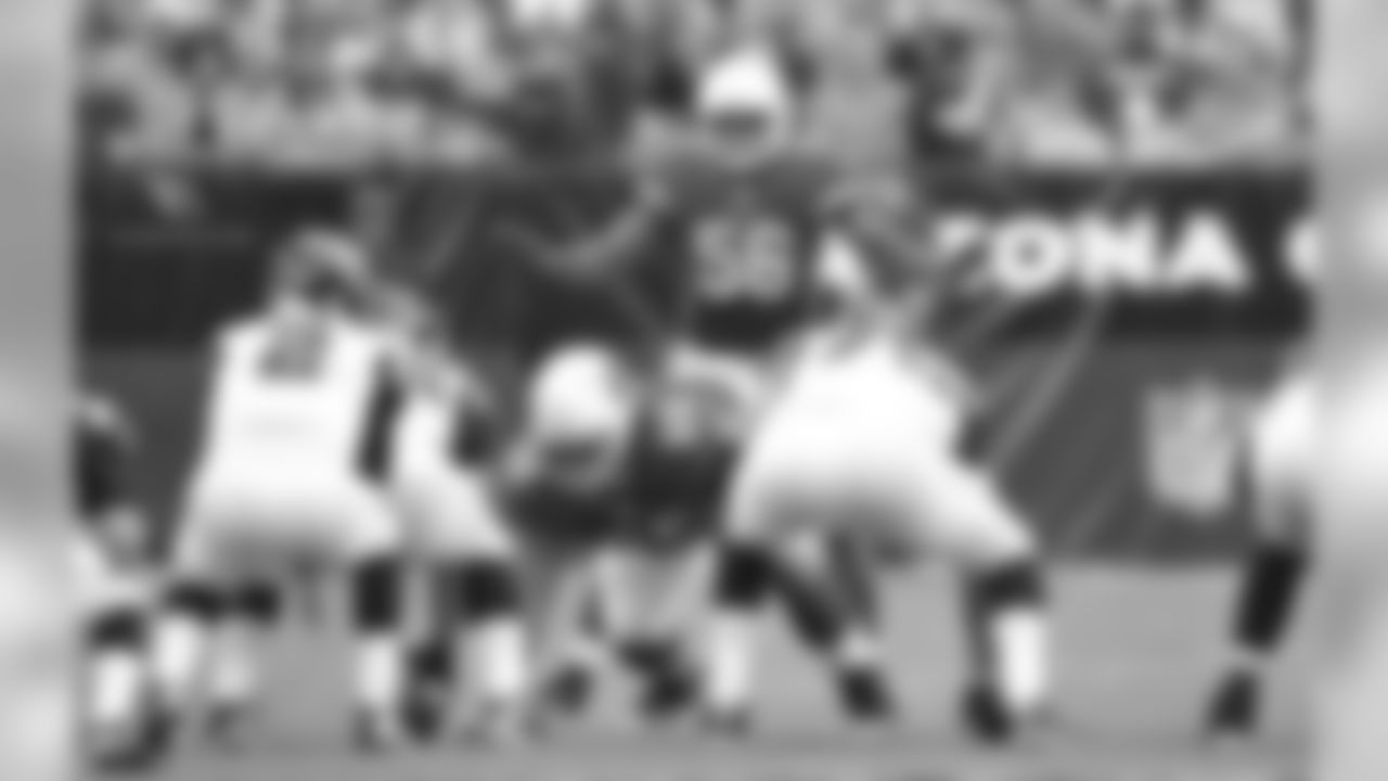 Arizona Cardinals (2013)