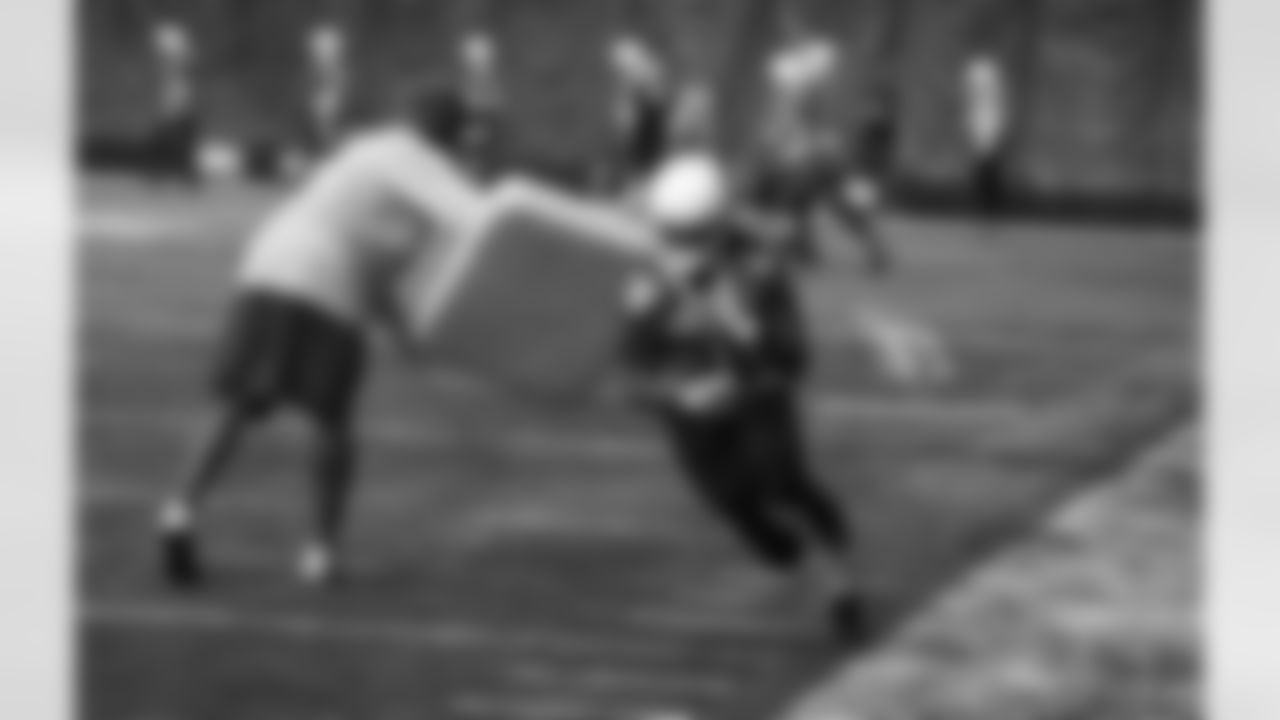 RB Andre Ellington
