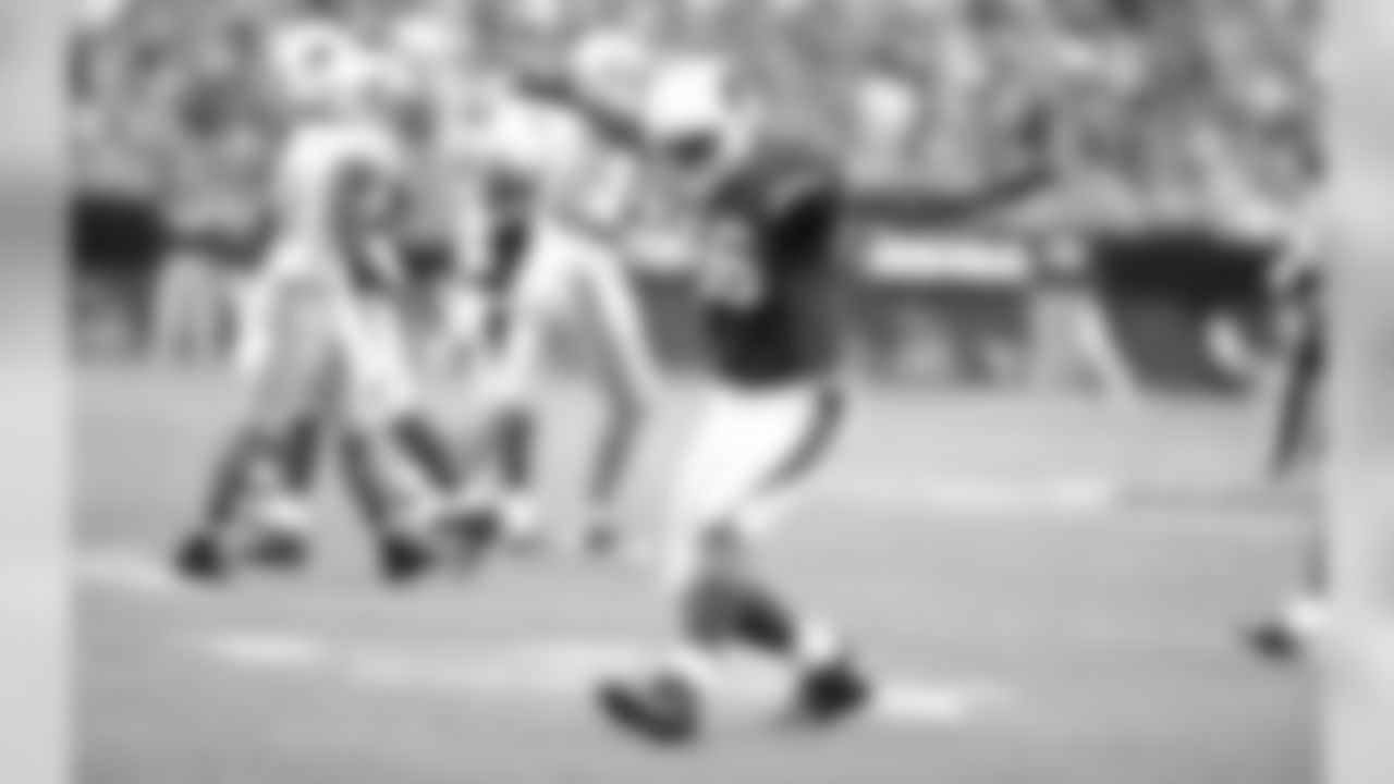 Arizona Cardinals (2013)