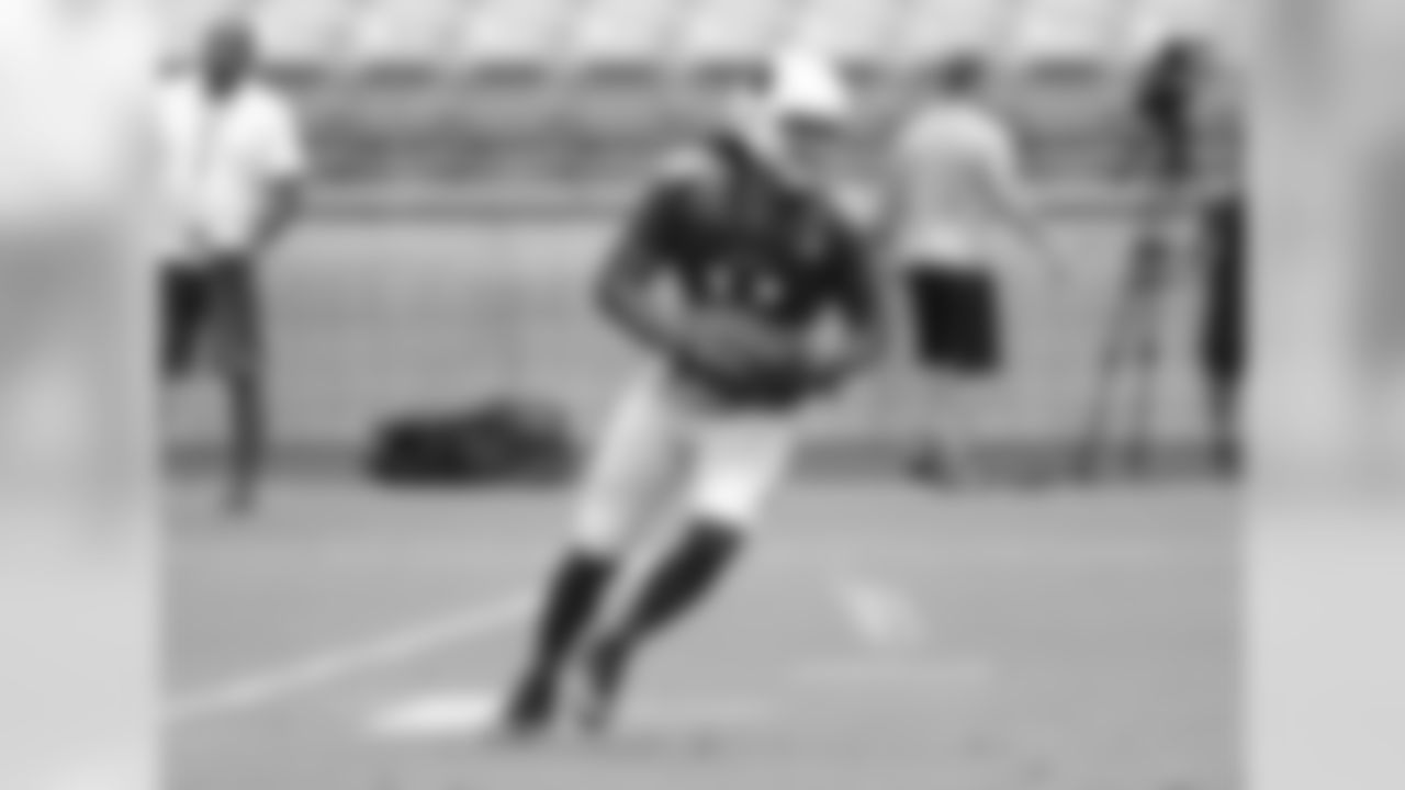 WR Larry Fitzgerald