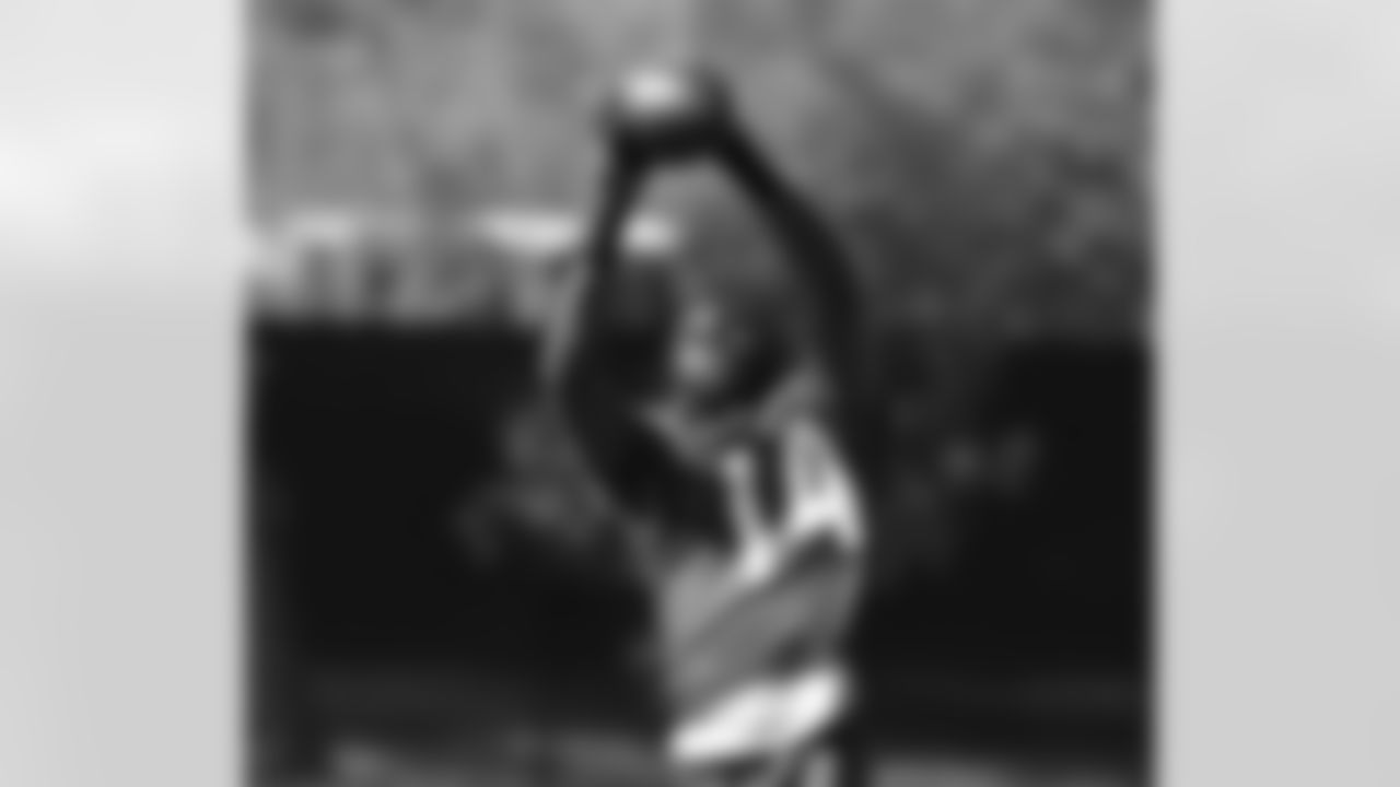WR J.J. Nelson