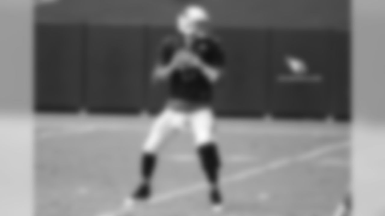 QB Carson Palmer