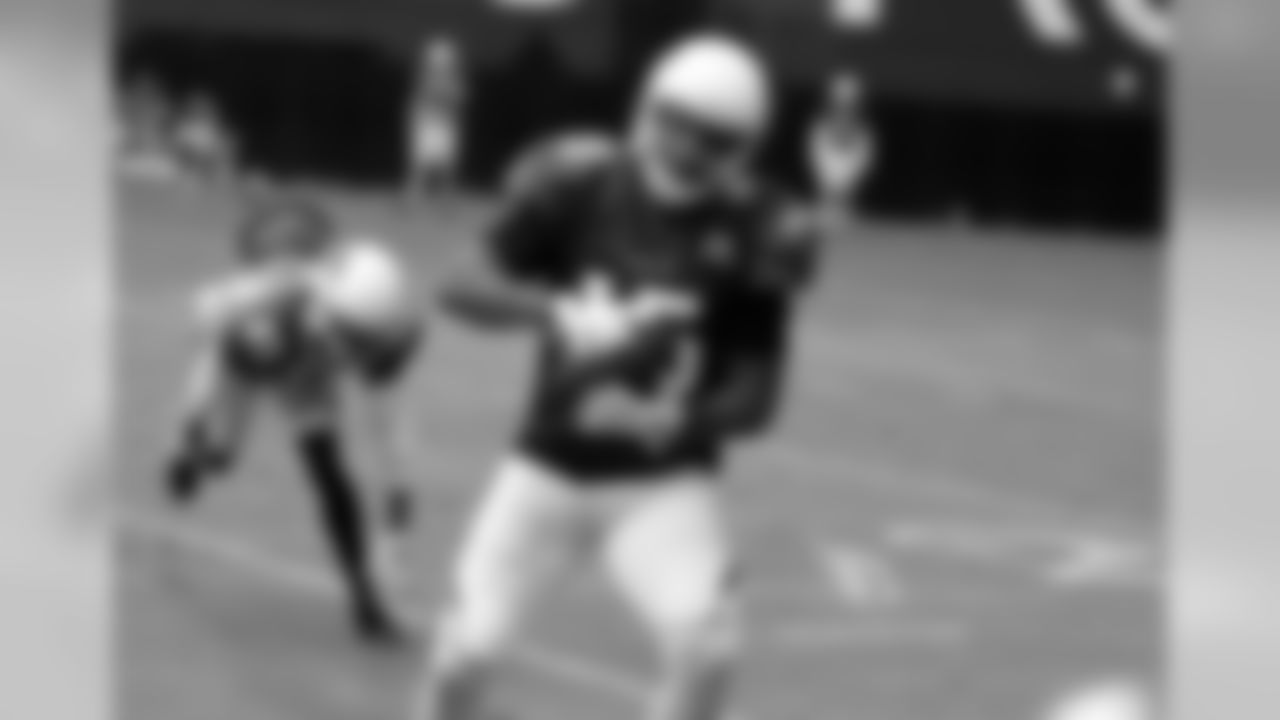 WR Michael Floyd