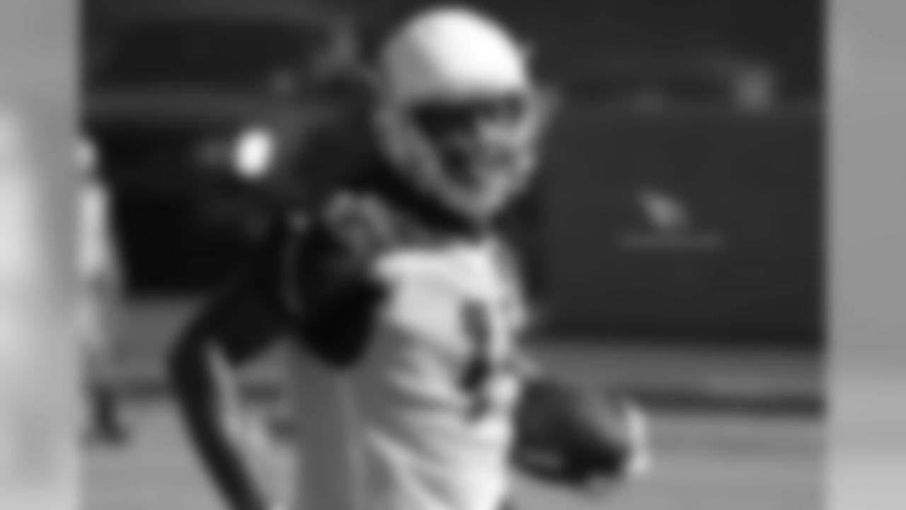 WR Larry Fitzgerald