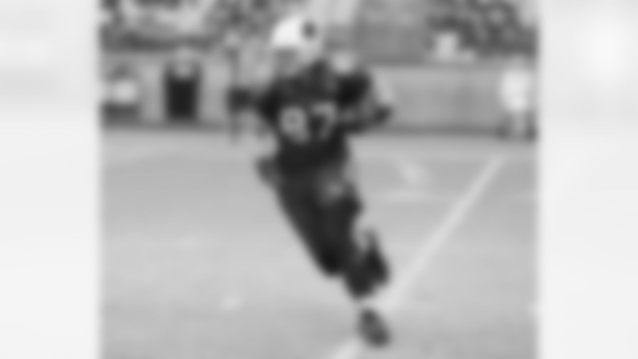 TE Troy Niklas
