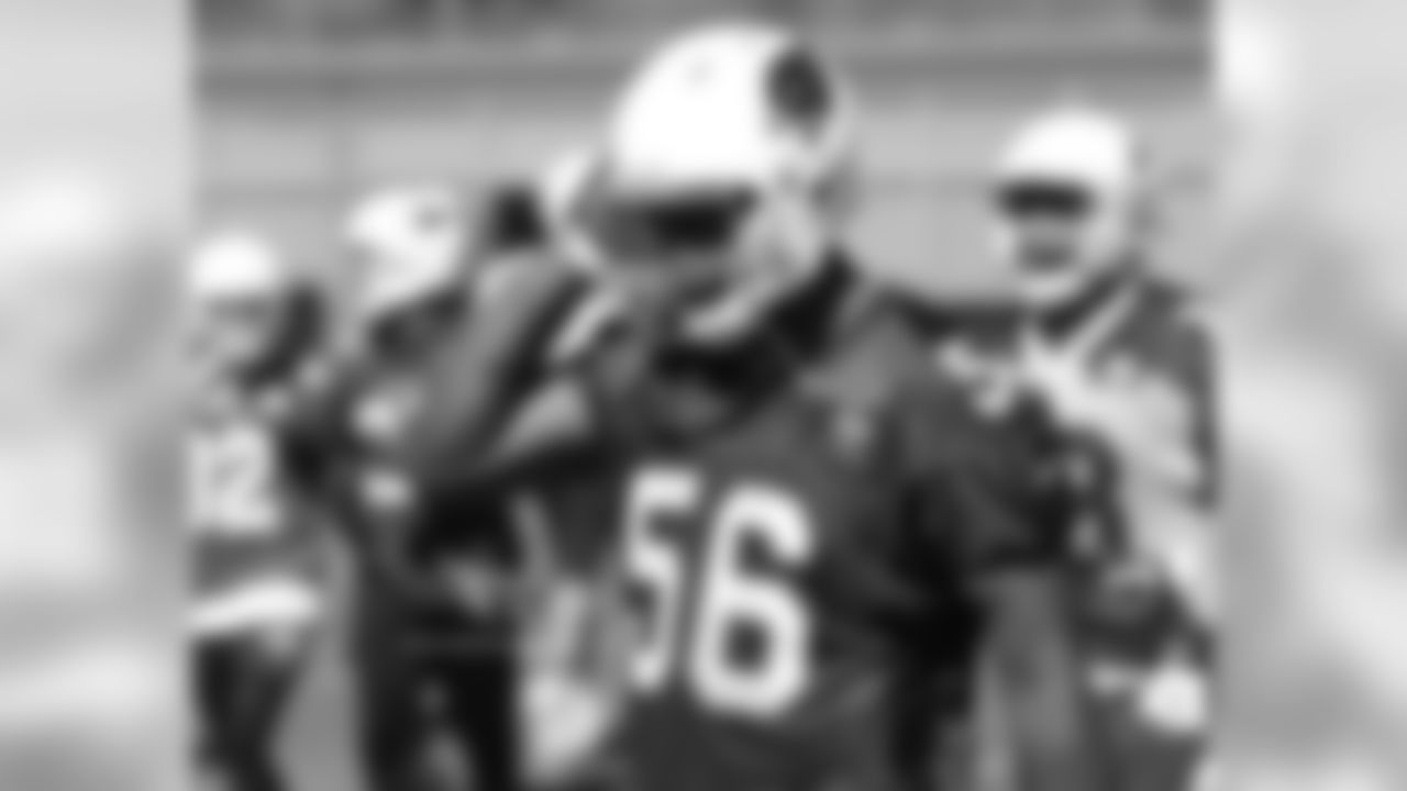 LB Karlos Dansby
