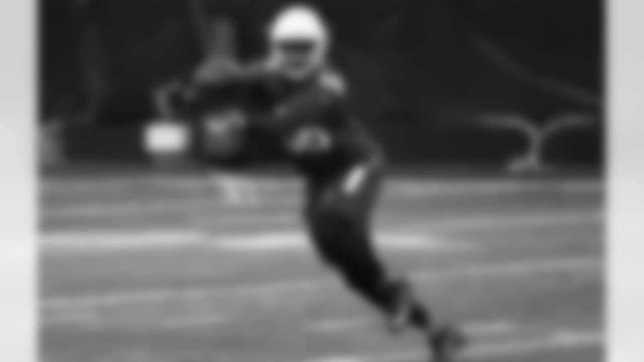 LB Karlos Dansby