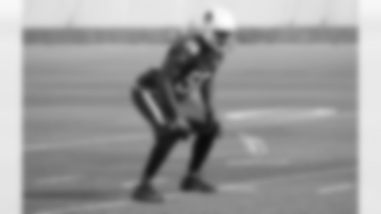 LB Karlos Dansby