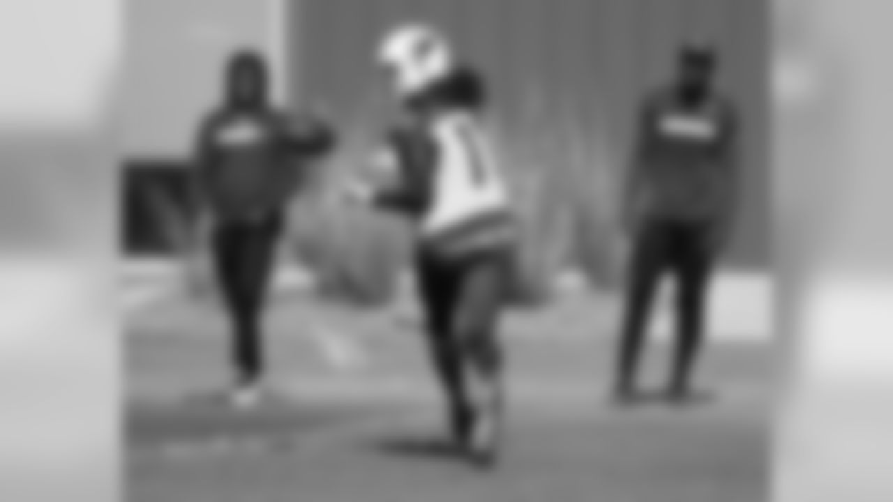 WR Larry Fitzgerald