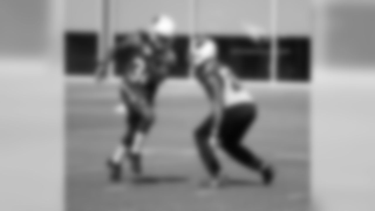 RB Andre Ellington