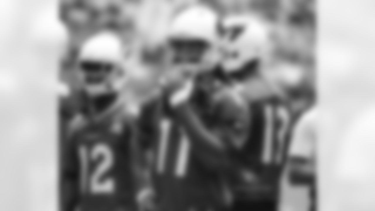 WR Larry Fitzgerald