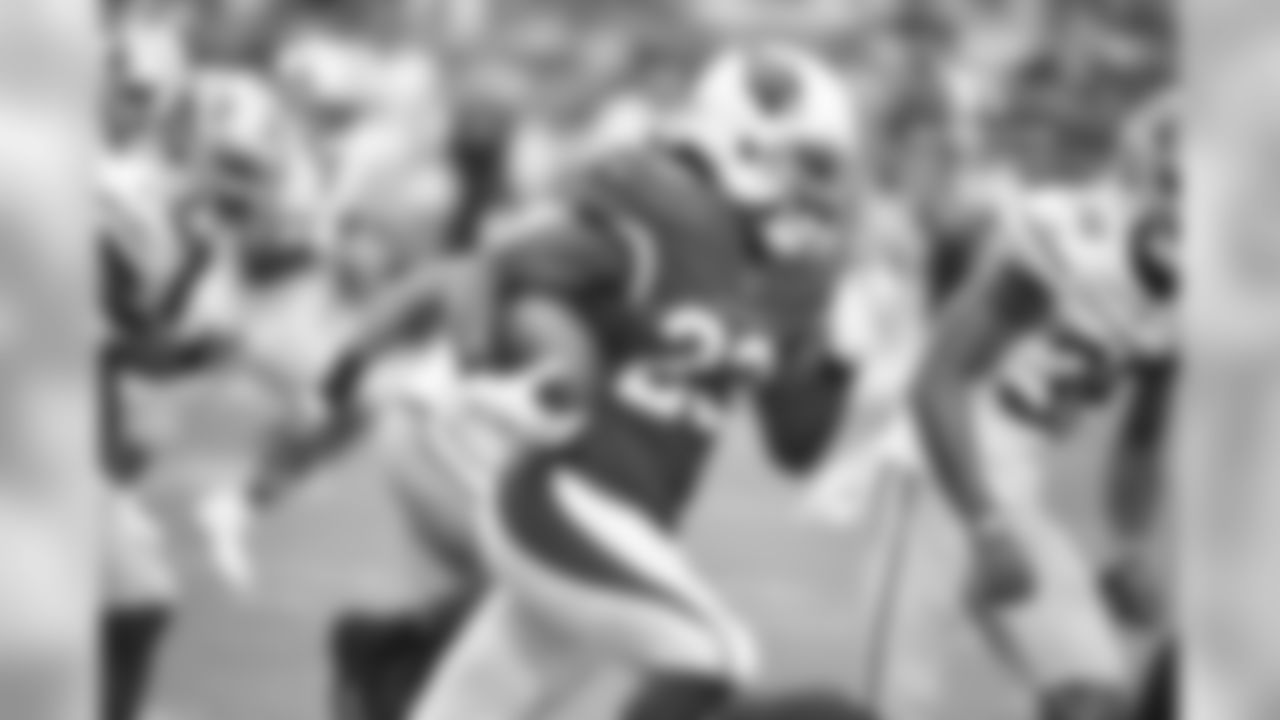 RB Chris Johnson: 45 carries, 114 yards