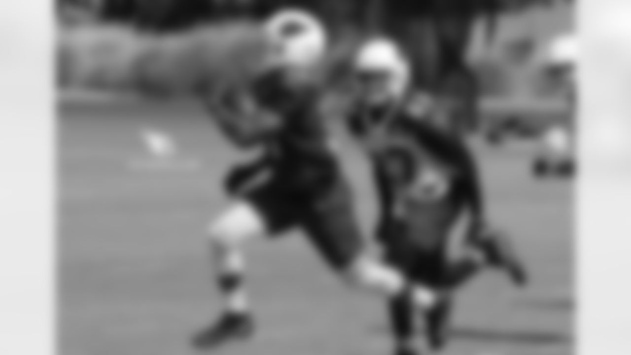 RB David Johnson