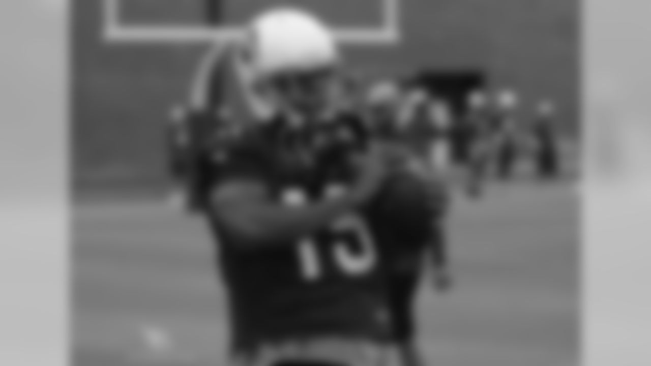 WR Michael Floyd