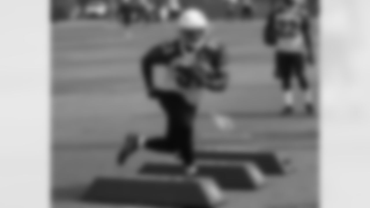 RB David Johnson