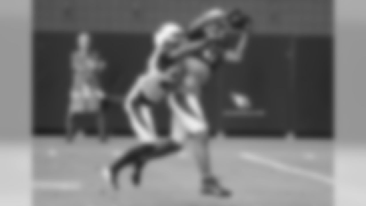 WR Larry Fitzgerald catches a pass