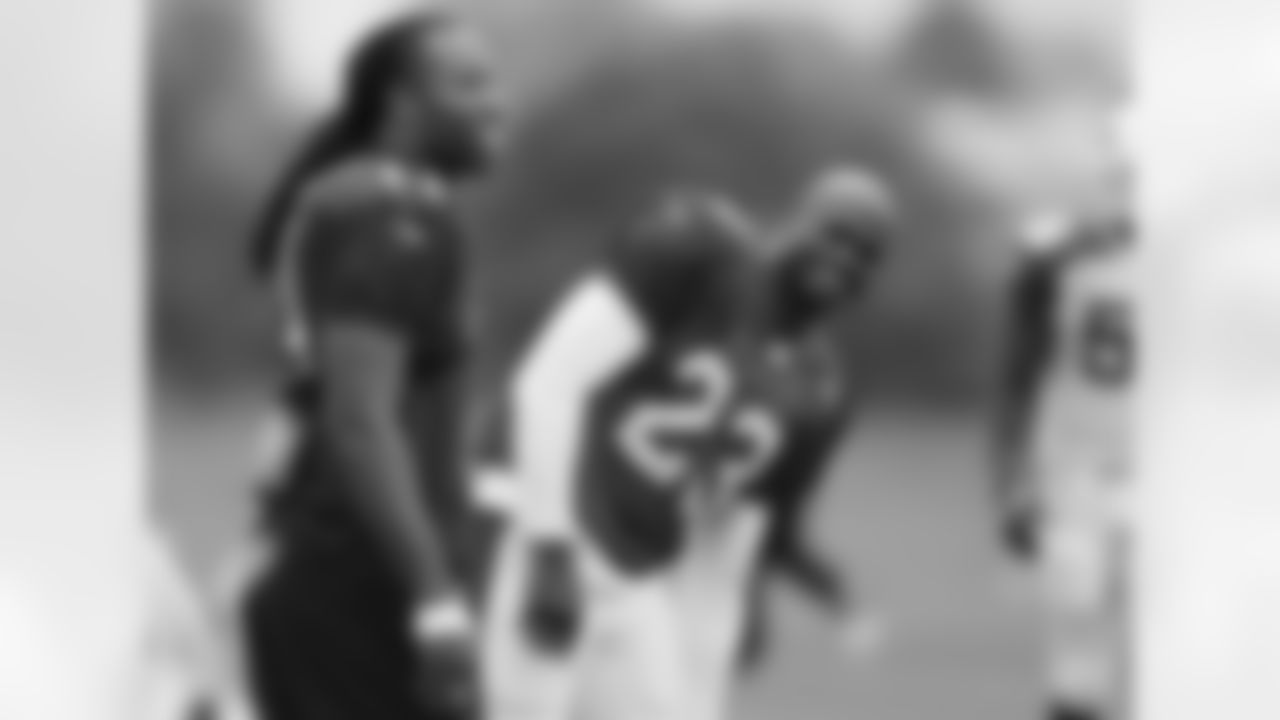 WR Larry Fitzgerald (left) and RB Adrian Peterson
