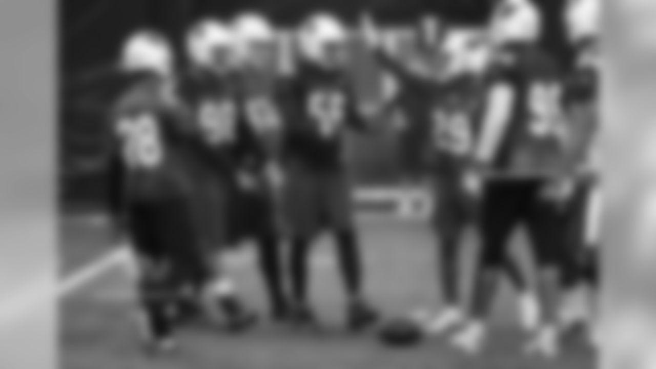 Teammates praise LB Karlos Dansby after an interception