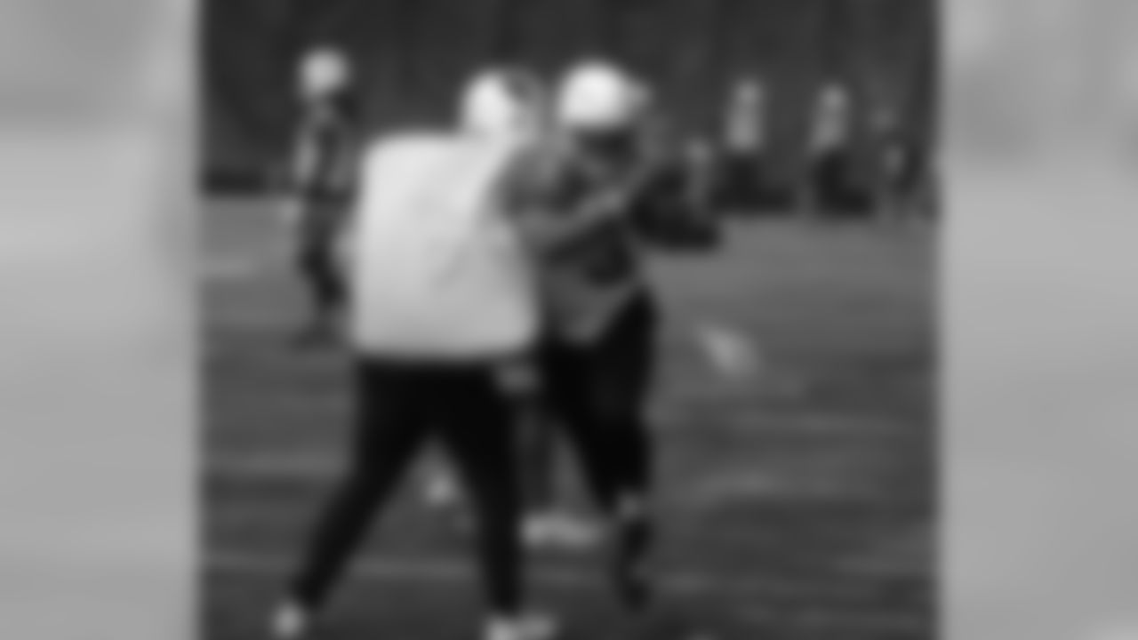 RB David Johnson