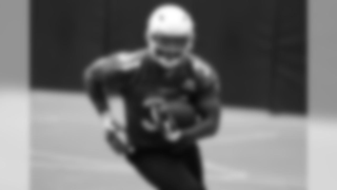 RB David Johnson