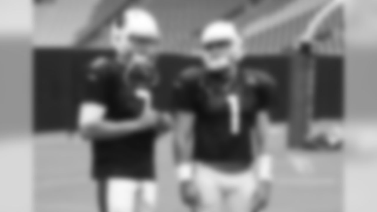 QBs Blaine Gabbert and Trevor Knight