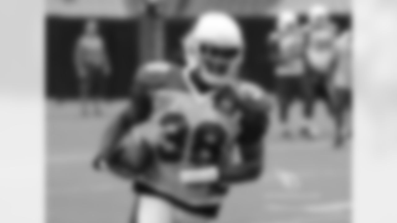 RB Andre Ellington
