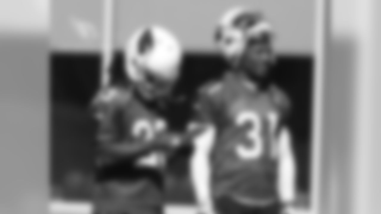 RBs Chris Johnson and David Johnson