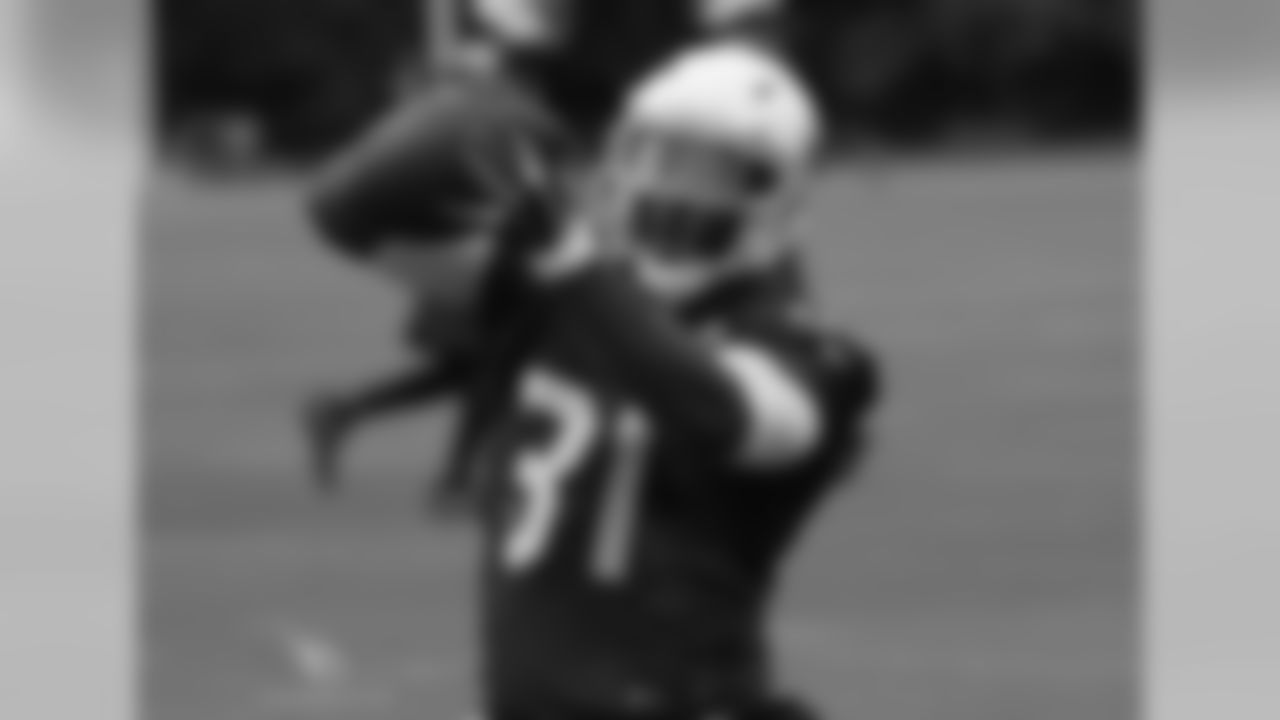 RB David Johnson
