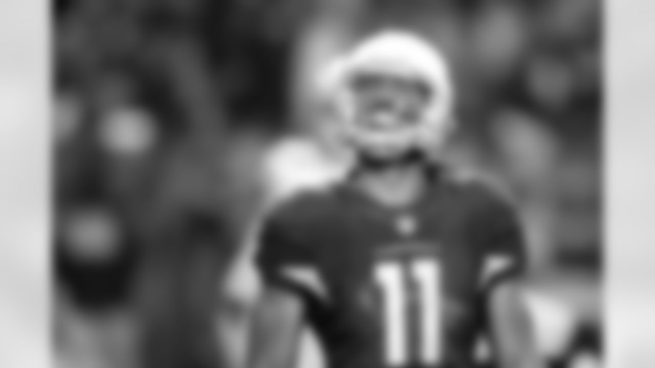 WR Larry Fitzgerald