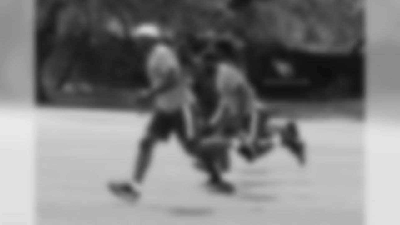 LB Karlos Dansby