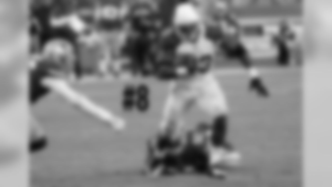 RB Adrian Peterson carries the ball