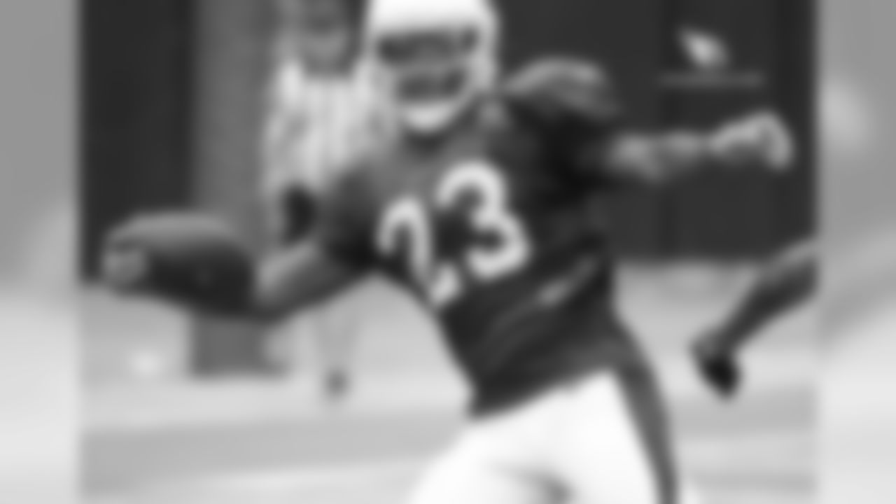 RB Chris Johnson stretches for the goal-line