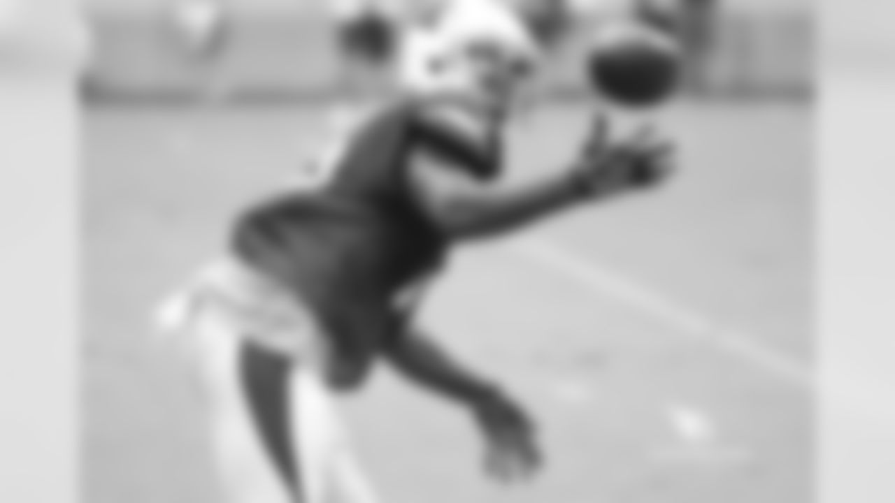 WR Jeremy Ross makes a catch