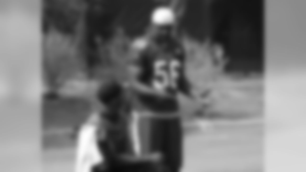 LB Karlos Dansby