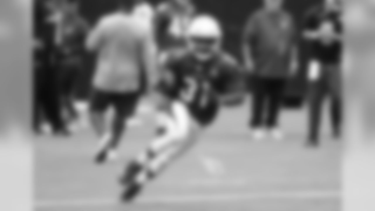 RB David Johnson