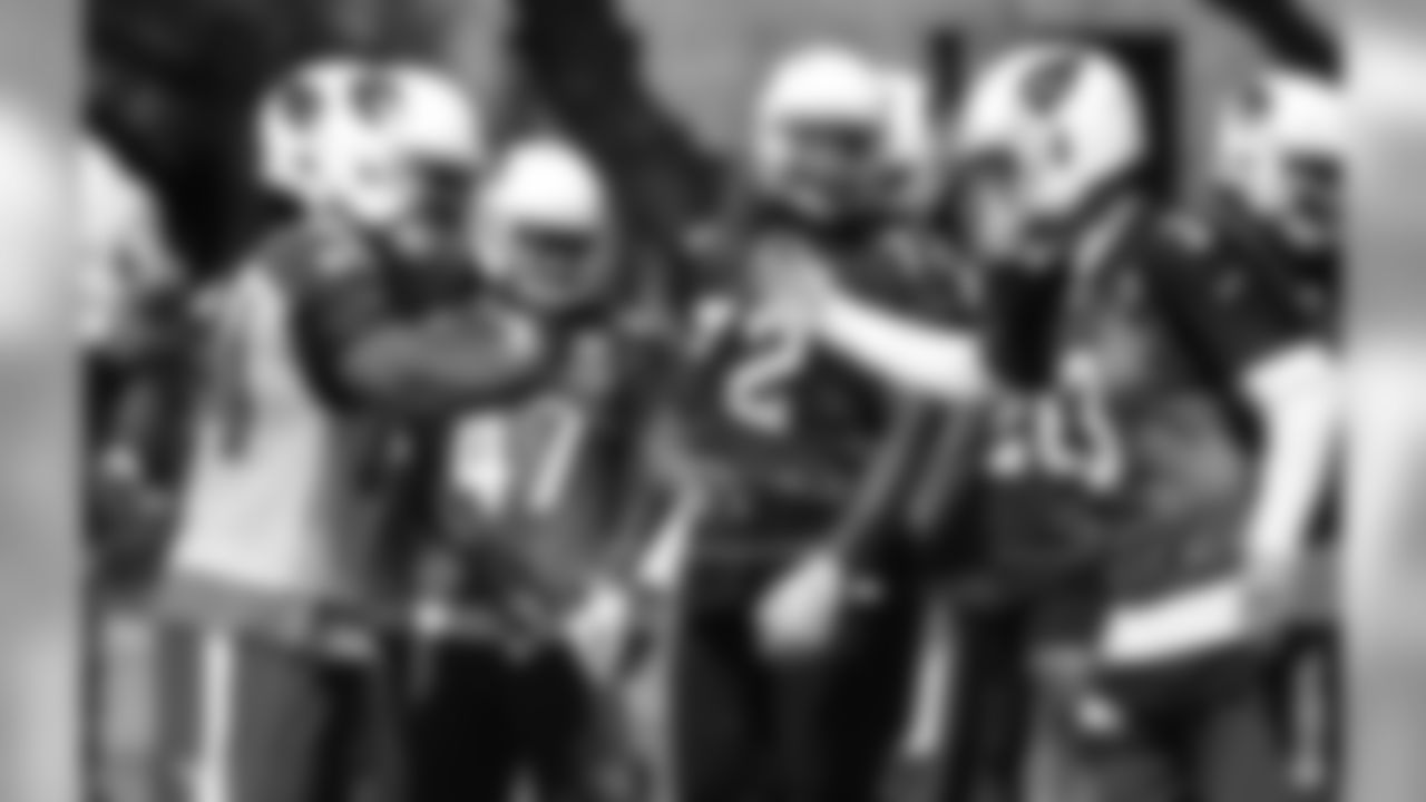 TE Jermaine Gresham and QB Carson Palmer celebrate a touchdown connection