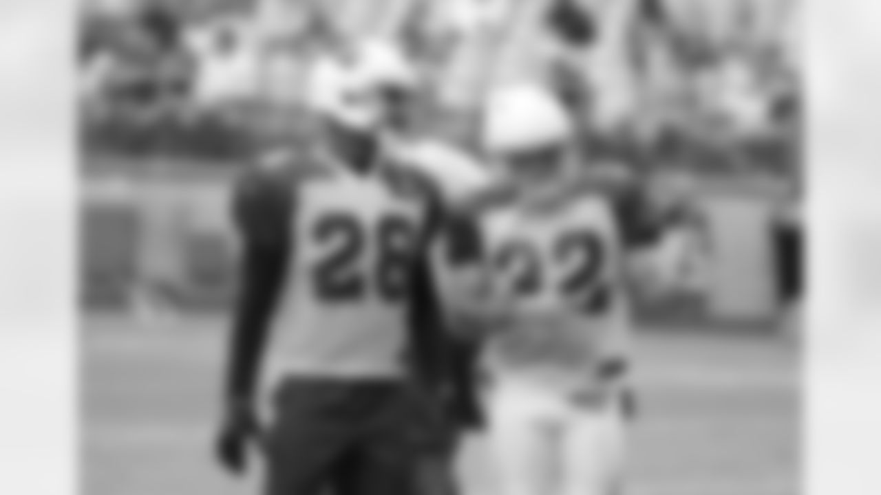CB Justin Bethel and S Tyrann Mathieu