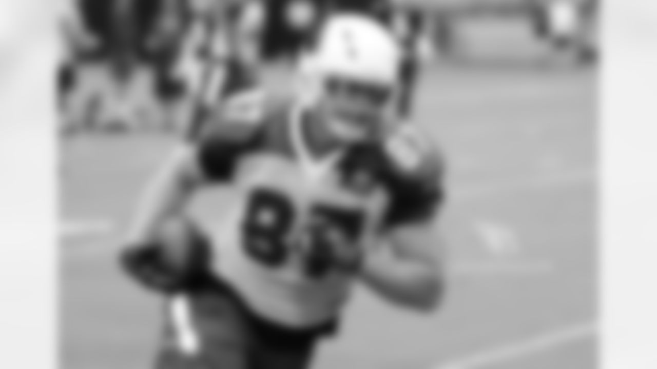 TE Troy Niklas