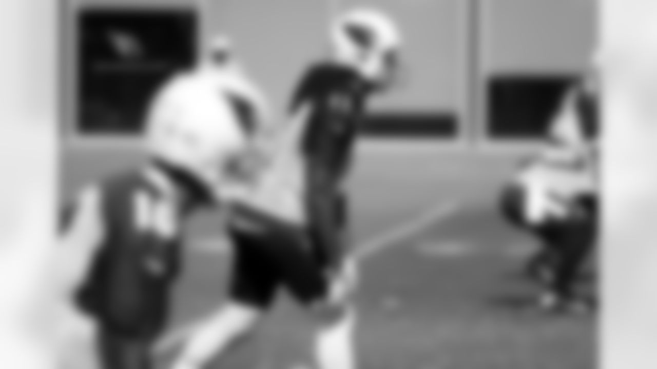 WR Larry Fitzgerald