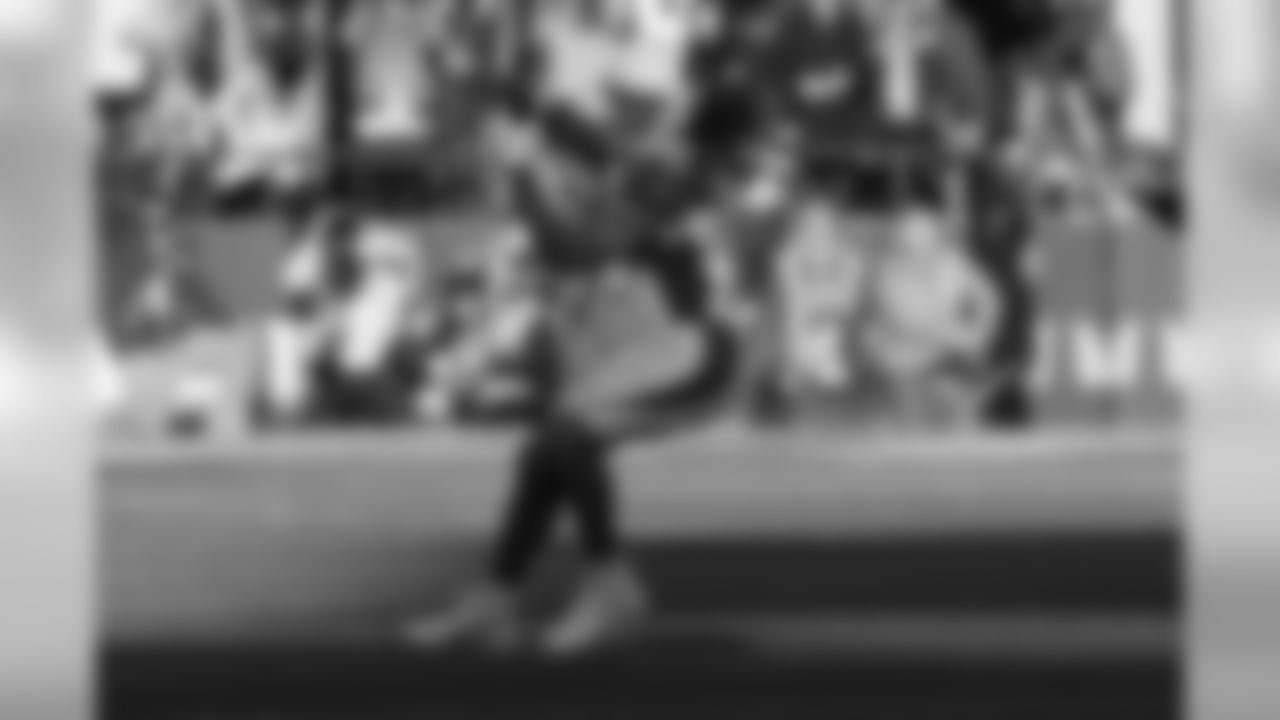 WR Larry Fitzgerald
