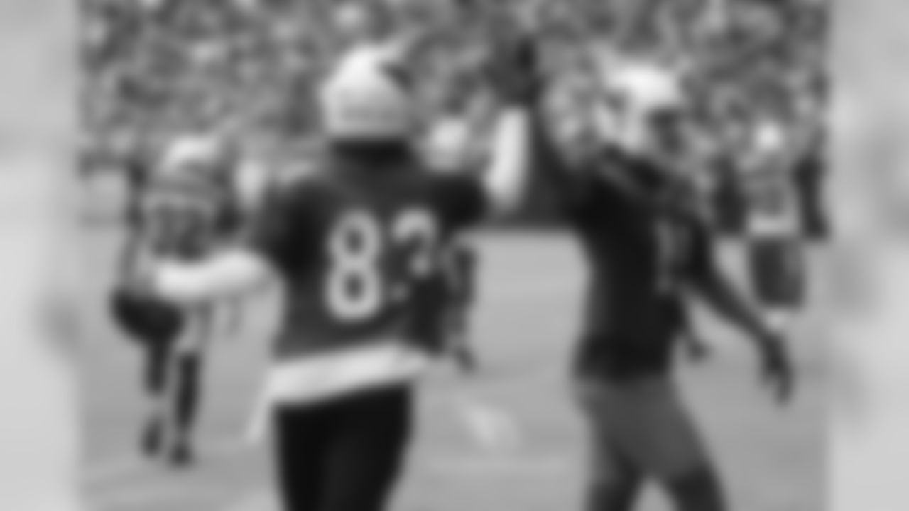 WRs Aaron Dobson and Larry Fitzgerald high-five