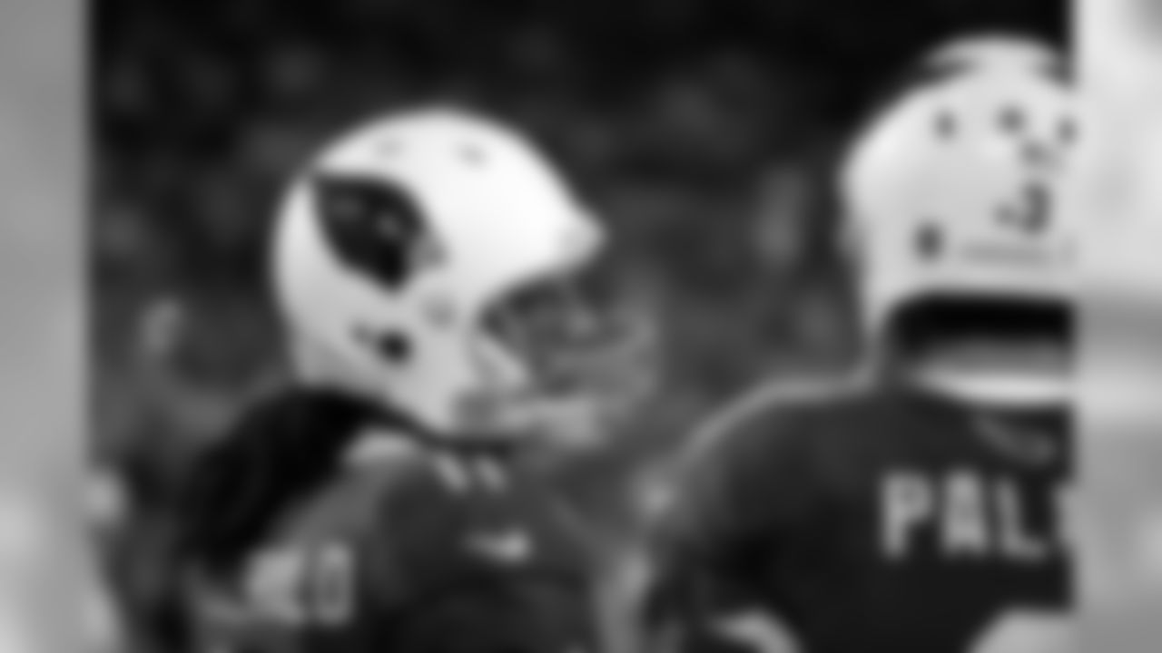Palmer and Fitz in the 2015 NFC Championship game
