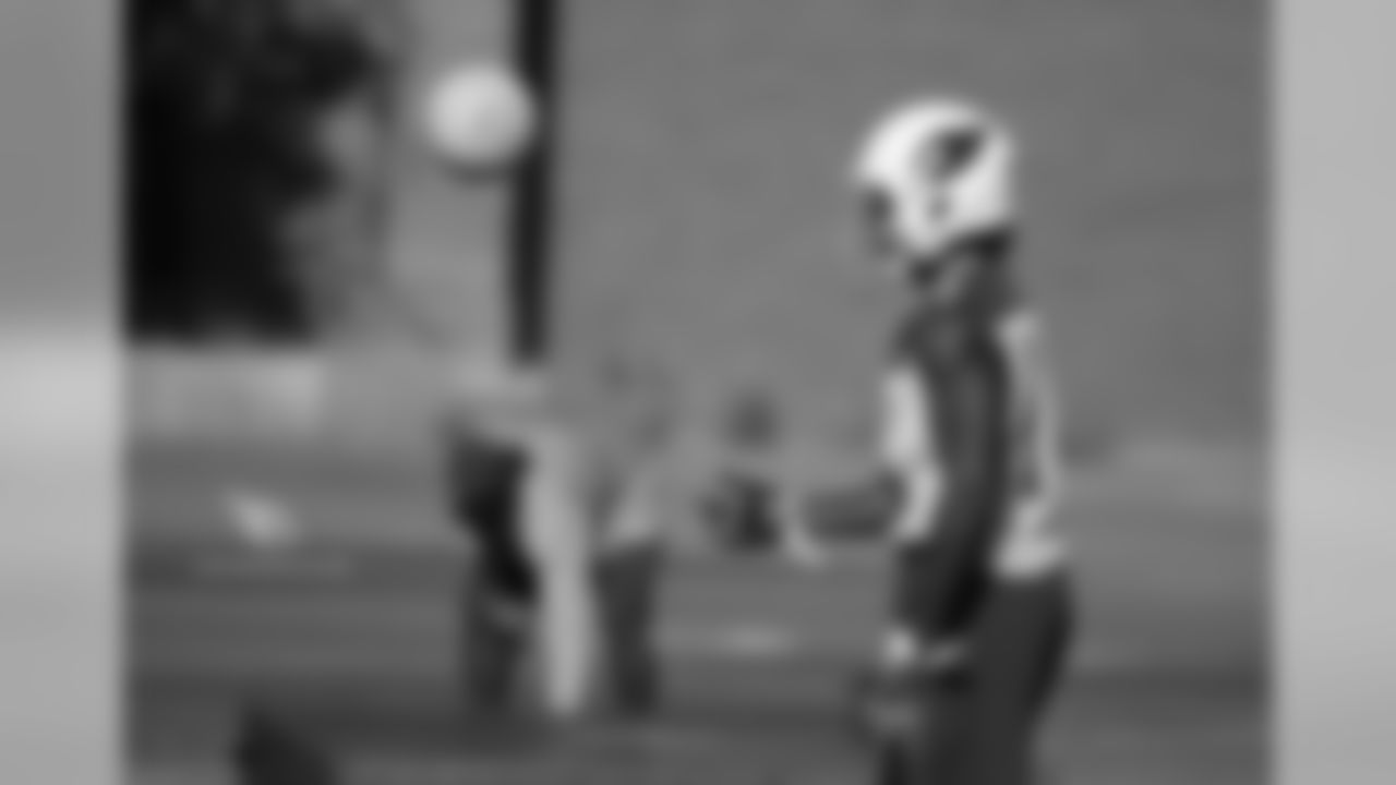 WR Chad Williams during OTAs