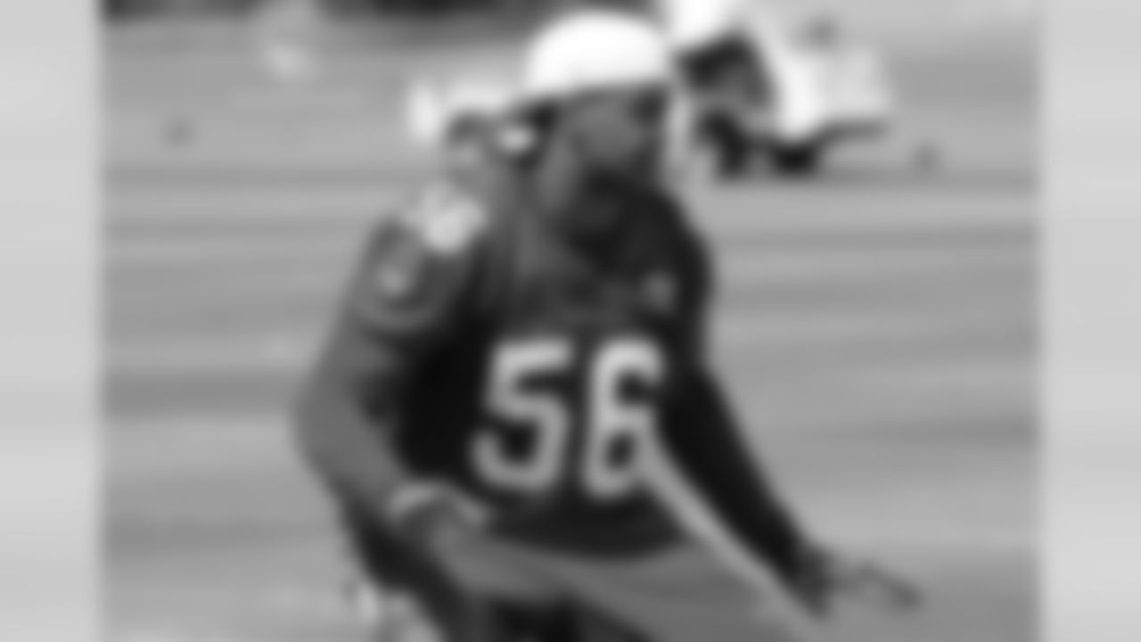 LB Karlos Dansby