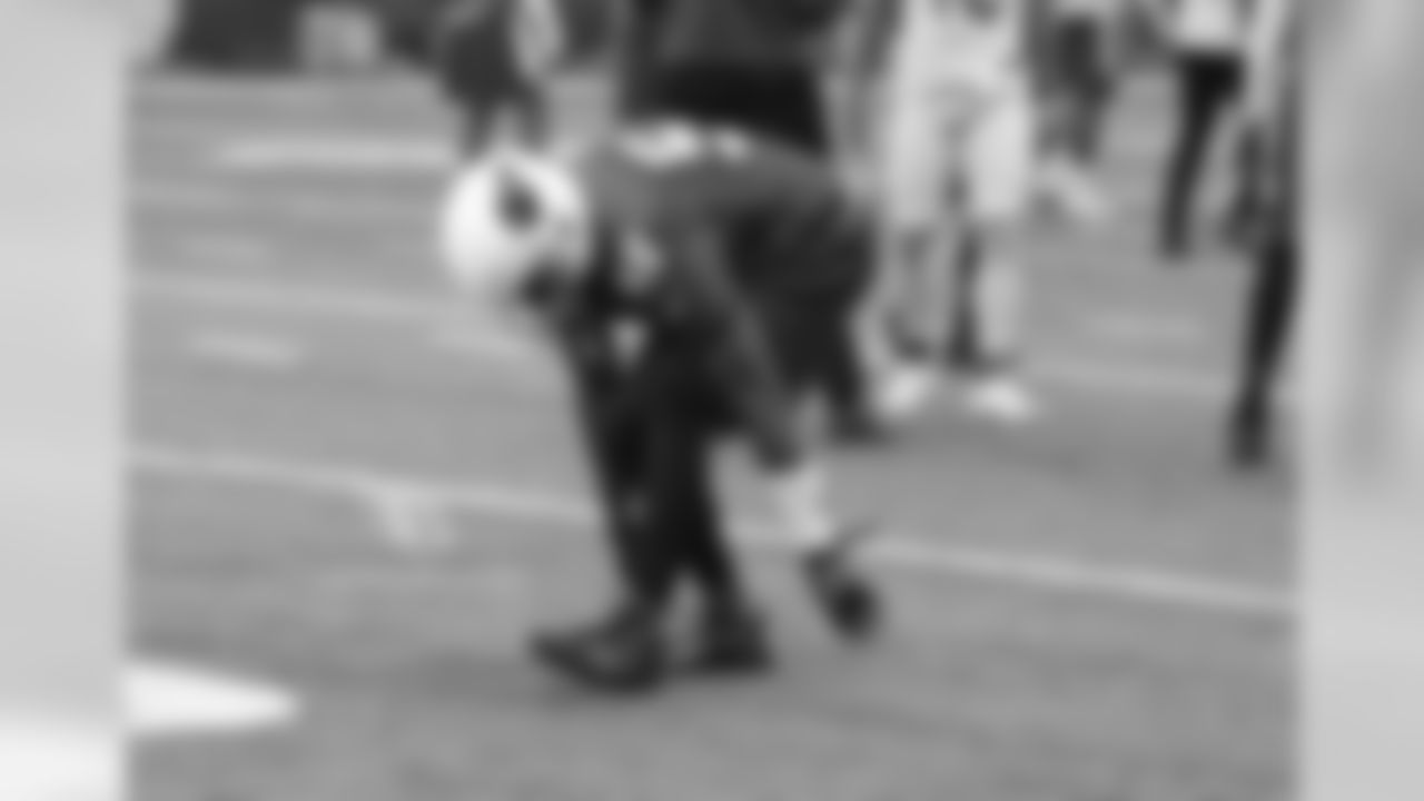 LB Karlos Dansby