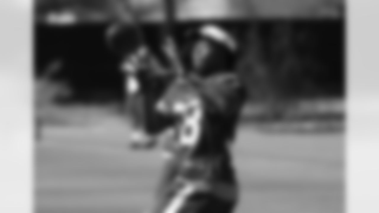 RB Andre Ellington