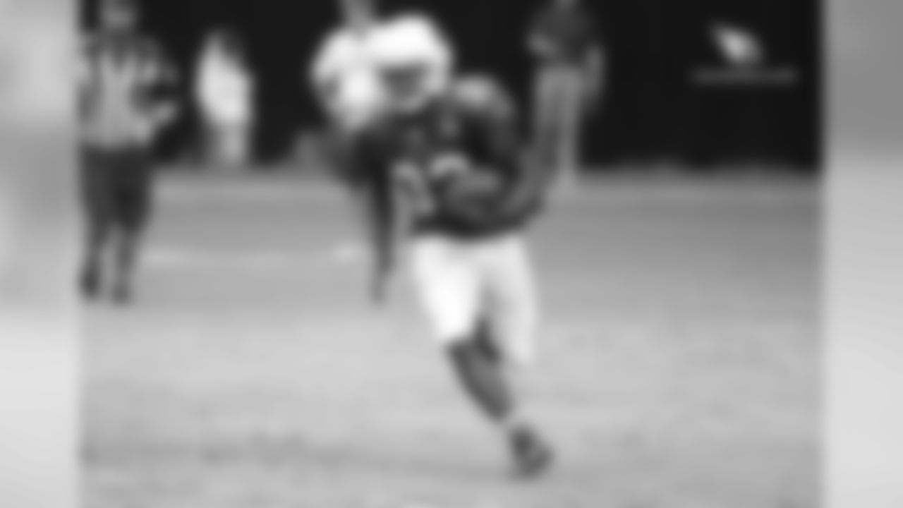 RB Kerwynn Williams