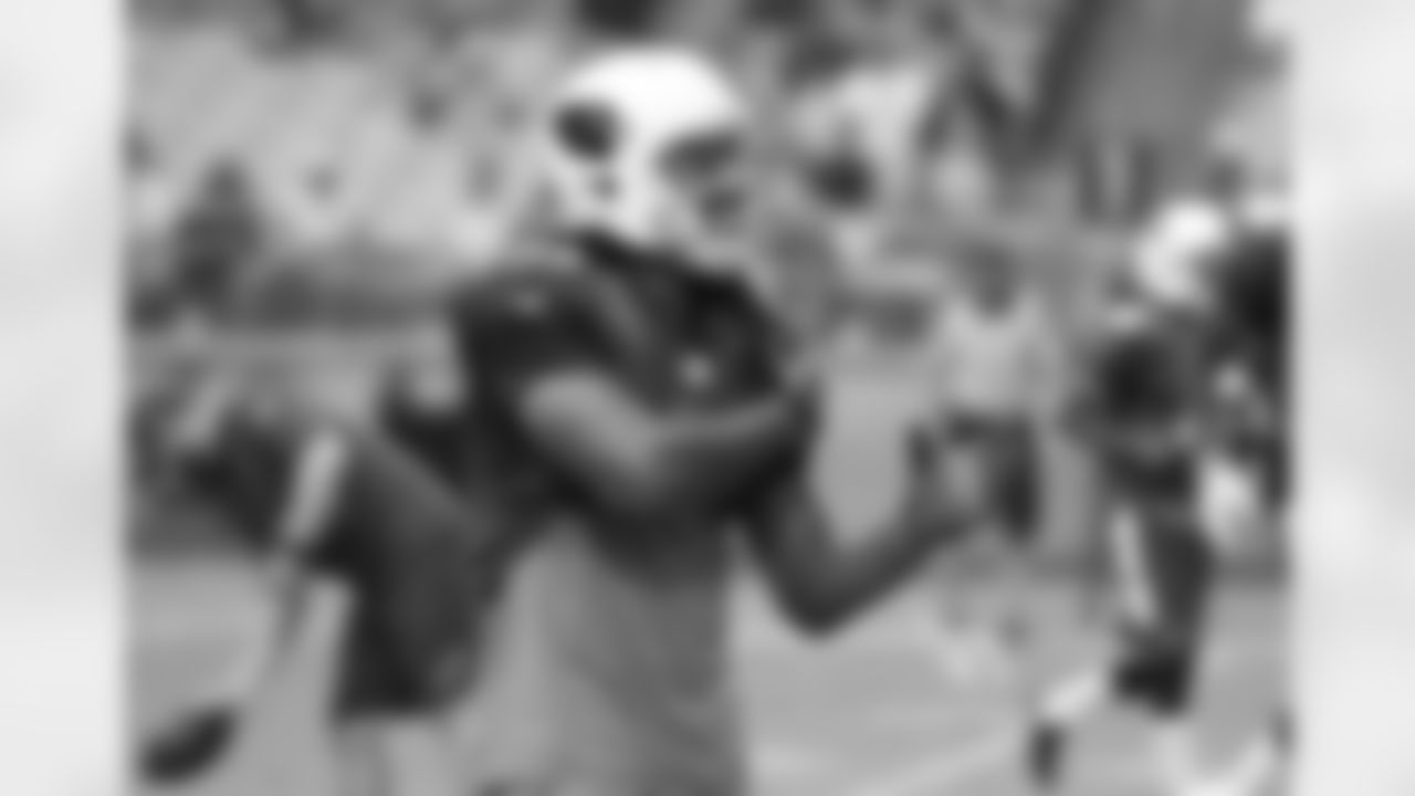 WR Larry Fitzgerald