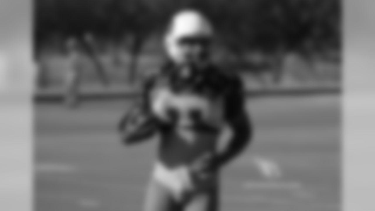 WR Larry Fitzgerald