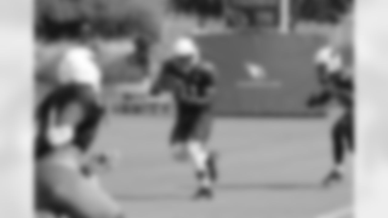 RB David Johnson catches a touchdown pass